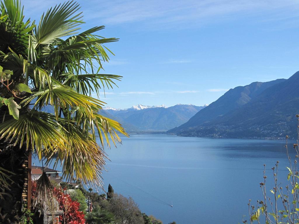 Brilago 1 Brissago Rum bild